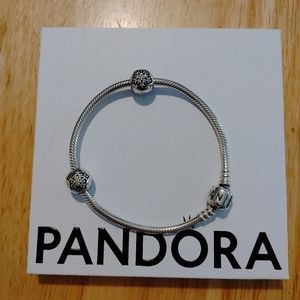 Pandora snake bracelet with 2 stopper charms.